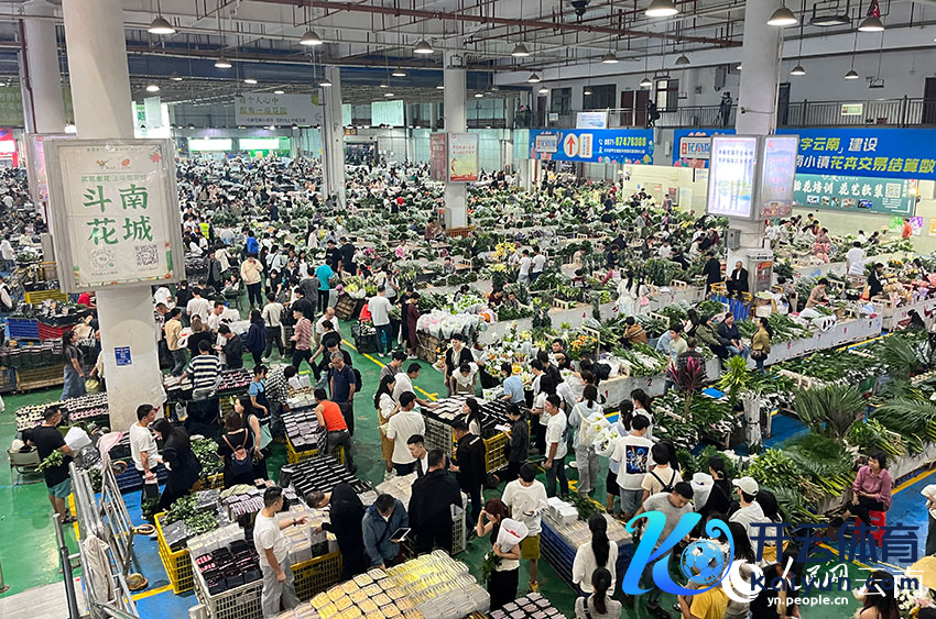 斗南花市内吵杂不凡。东谈主民网记者 何晶茹摄