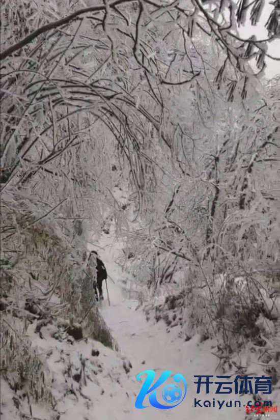 ▲冰雪粉饰的九峰山 图据微博网友@茶色曼茶罗