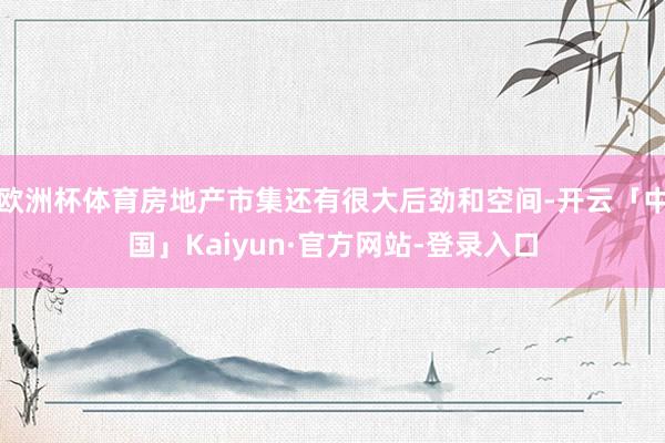 欧洲杯体育房地产市集还有很大后劲和空间-开云「中国」Kaiyun·官方网站-登录入口