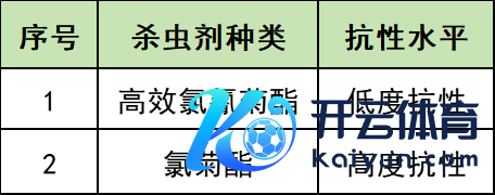 疾控部门恢复广东蟑螂已进化 抗药性增强非进化收尾