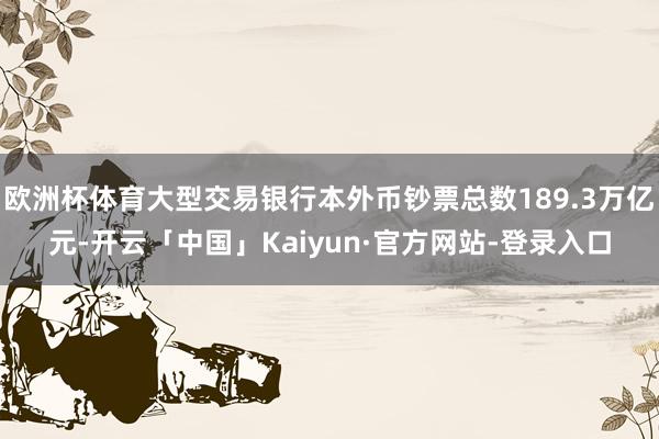 欧洲杯体育大型交易银行本外币钞票总数189.3万亿元-开云「中国」Kaiyun·官方网站-登录入口